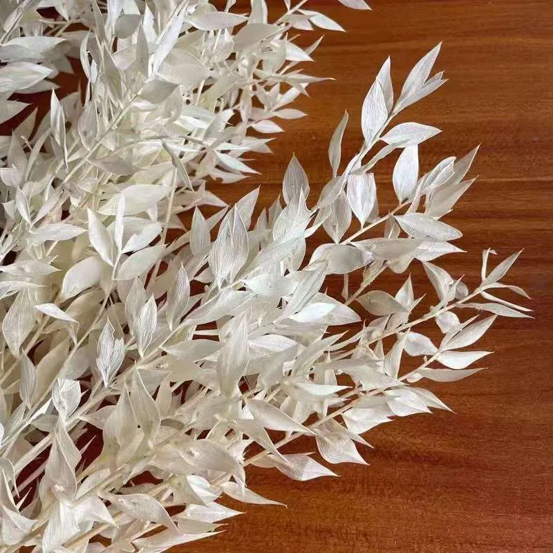 30g / 40-45cm、自然乾燥花ホワイトフグイの葉の枝、ディスプレイブーケde mariage結婚式の家の秋の装飾220311
