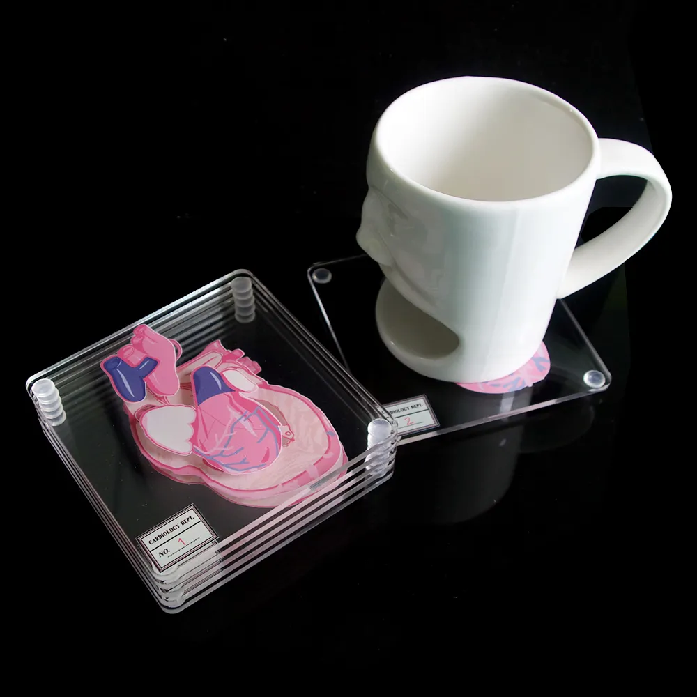 解剖学的心臓標本コースターハートスライス解剖学アクリルスクエアコースター飲料カップマットホームバーキッチン装飾パーティー2311d