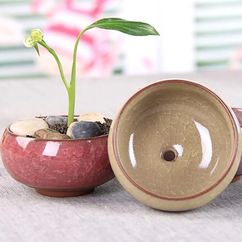 Mini Wicker Bonsai Flower Flower Ceramic Plant Pot For the Garden Sadza