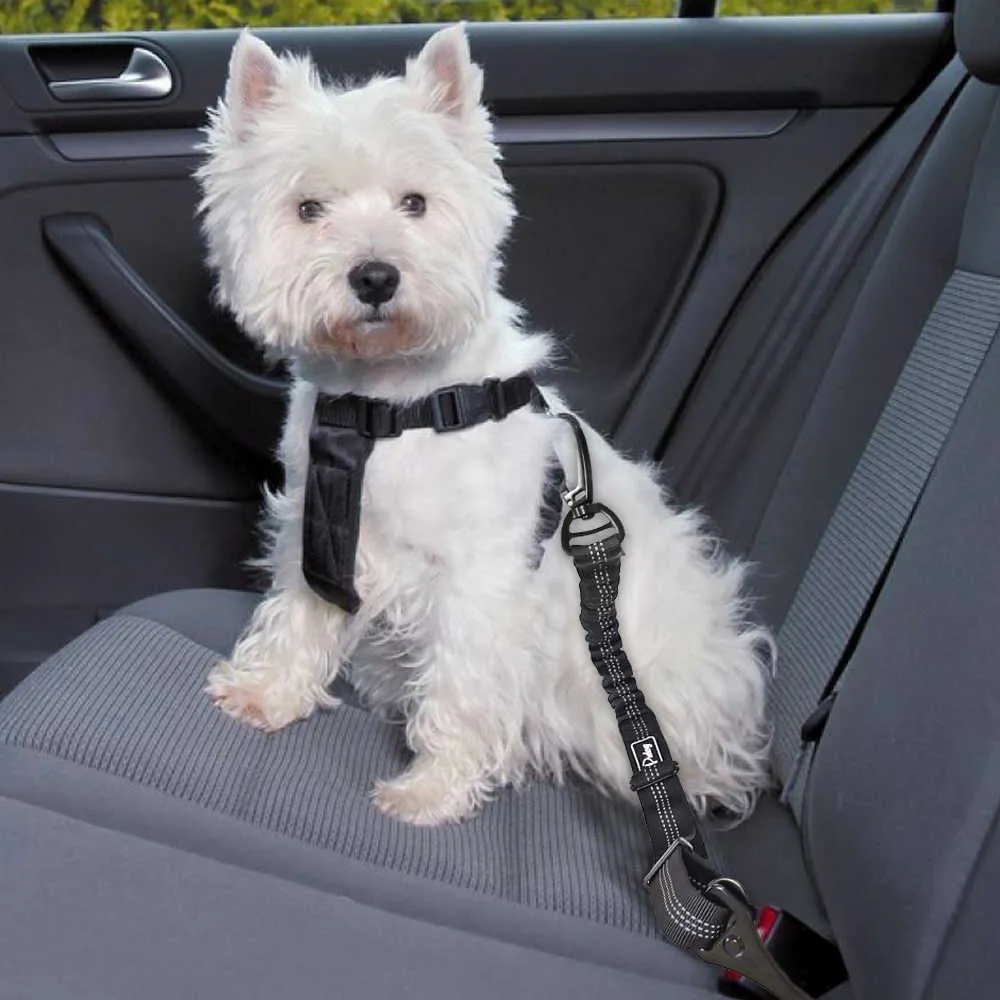 Ceinture de sécurité de voiture de chien Ceinture de sécurité en nylon pour voiture Ceinture de sécurité de véhicule de laisse élastique réfléchissante durable pour petits chiens de taille moyenne 211006