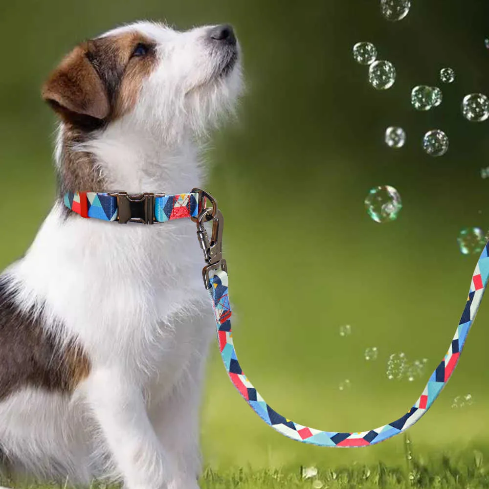 Ensemble de laisse de collier de chien personnalisé personnalisé imprimé plaque signalétique ID s plomb en nylon pour étiquette gravée pour animaux de compagnie Pitbull 211022