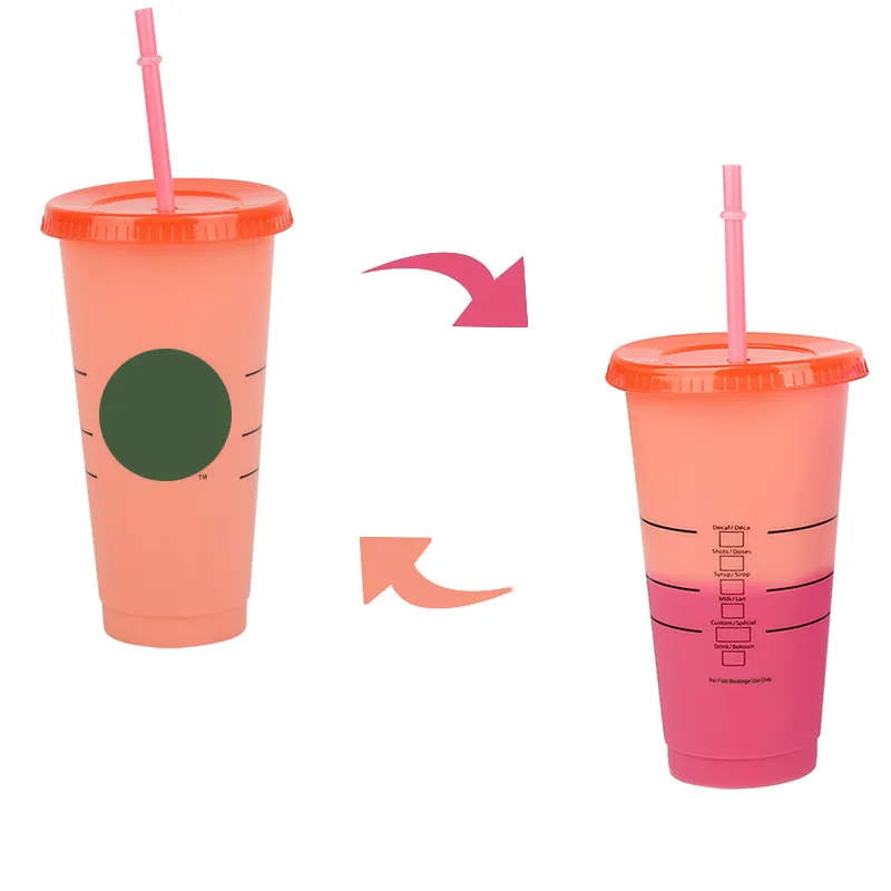 710ml Cold Color Change Cup Straw Cups Reusable Coffee Cup Portable Matte Finish Plastic Water Mugs With Lid2261