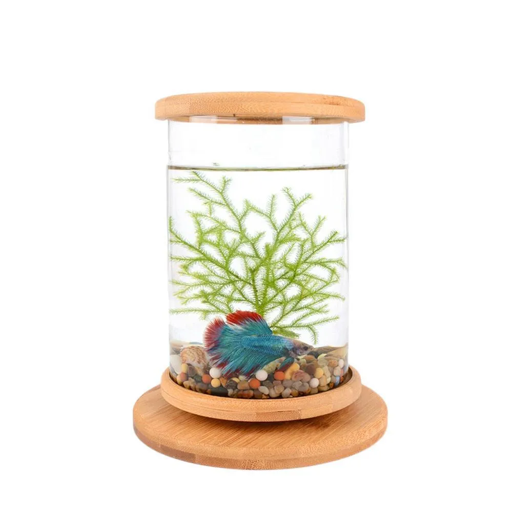 1 STKS Mini Glas Bamboe Basis Tank Draaien Decoratie Viskom Ecologische Fles Aquarium Accessoires6145802