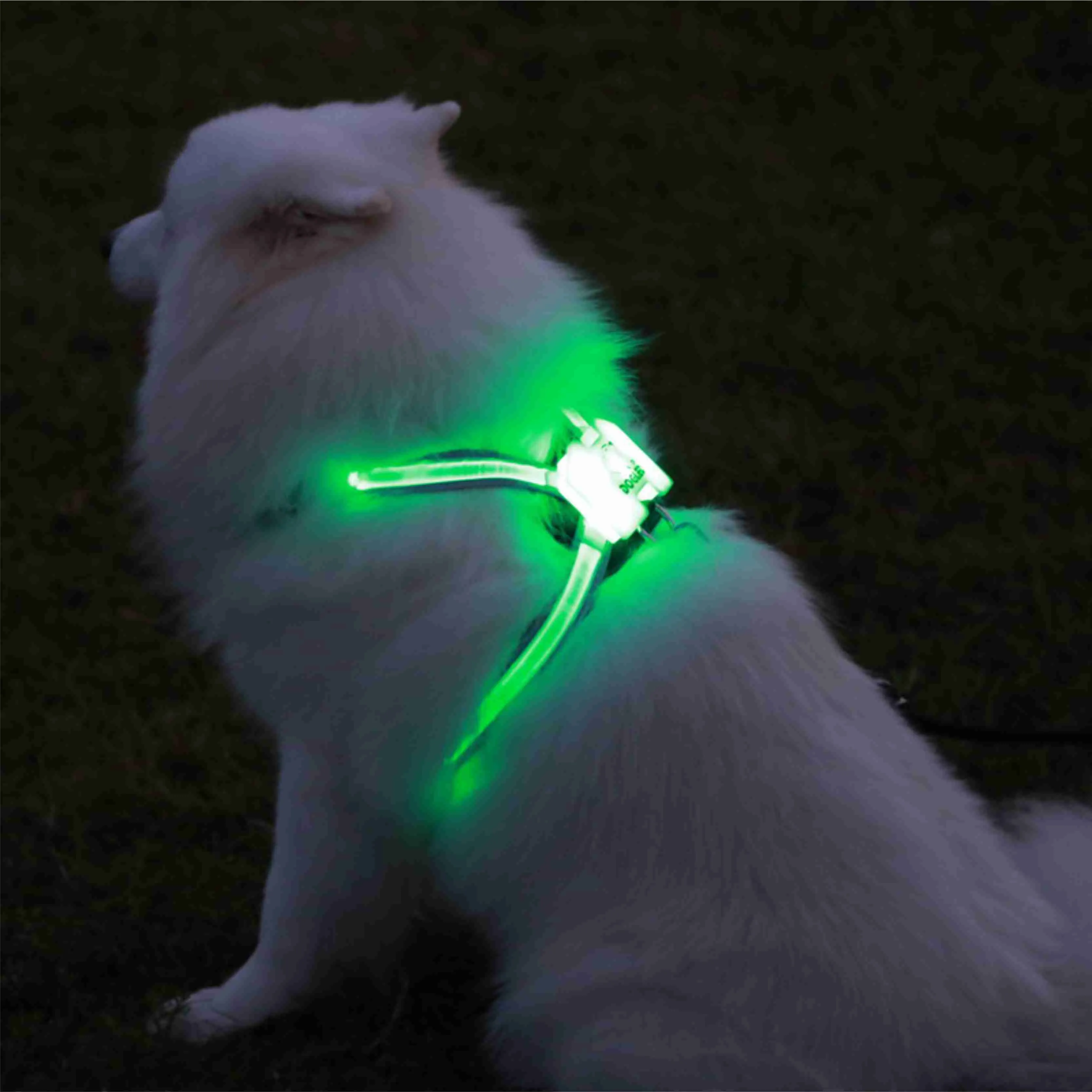 大型7インチカラー犬の輝くUSB LED Collar Puppy Lead Pets Vest Leads Y200515用