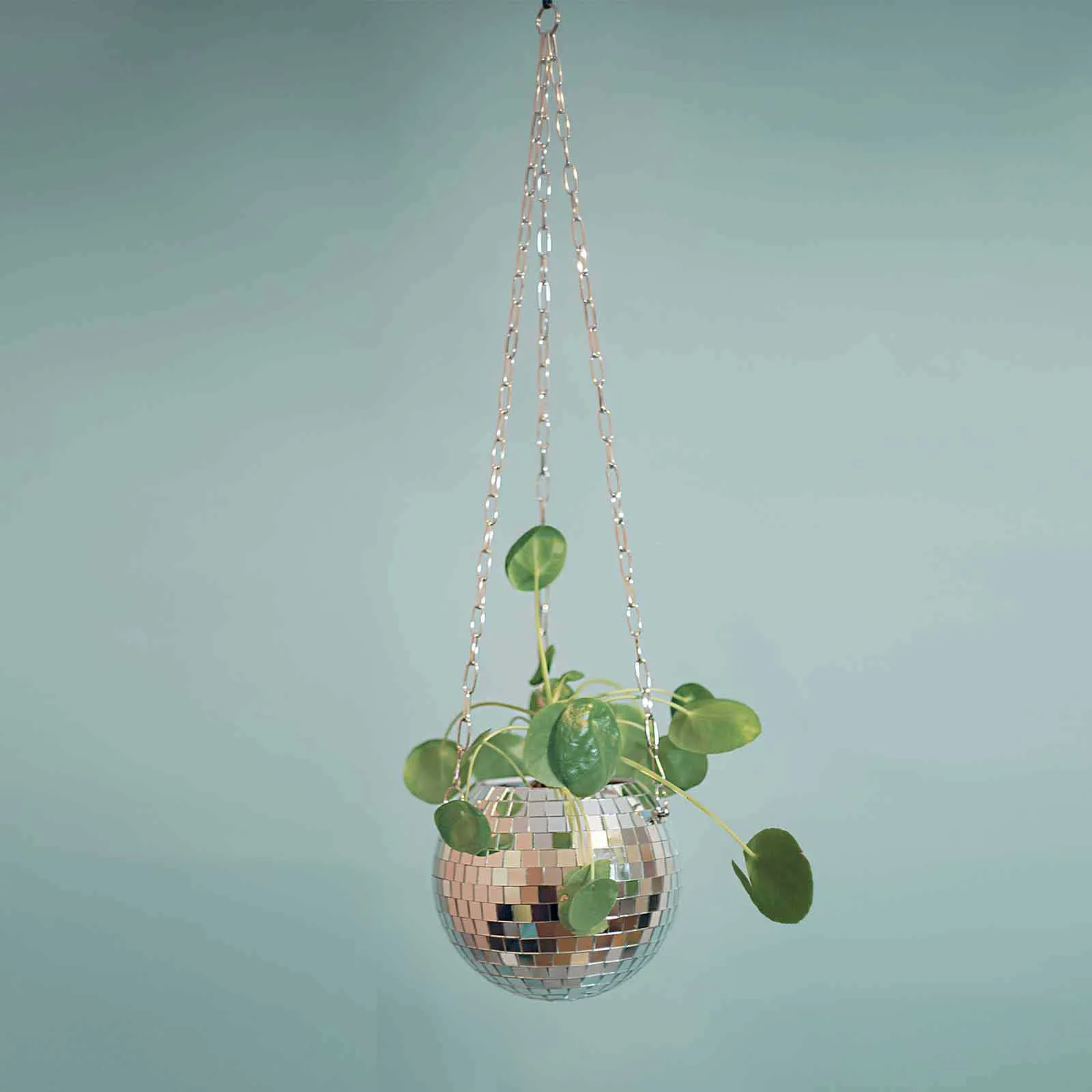 Disko Topu Ekici Küre Şekli Asılı Vazo Çiçek Saksı Tencere Halat Asılı Duvar Homw Dekor vazo Konteyner odası dekorasyon 210615
