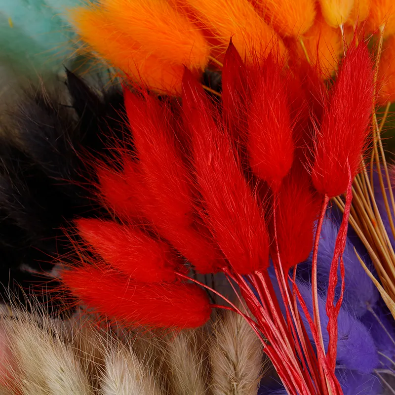 50 قطع الزهور المجففة الطبيعية أفخم الملونة الاصطناعي زهرة وهمية أرنب الذيل العشب الذيل الطويل بكمات النباتات ديكور 220311