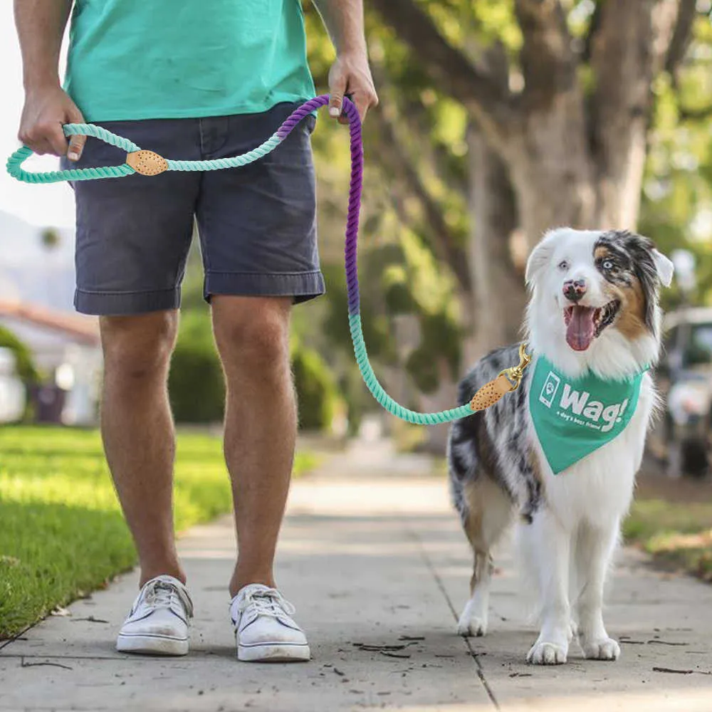 150 cm hond huisdier leiband touw nylon kleine medium grote honden puppy leibanden lange heavy duty large dog walking training lead 211006