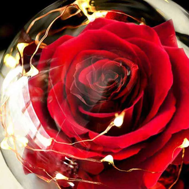 Flanel Gül Çiçekleri Bir şişe güzelliğinde LED Işık Beast Immortal Rose Yeni Yıl Noel Sevgililer Günü Hediyeleri