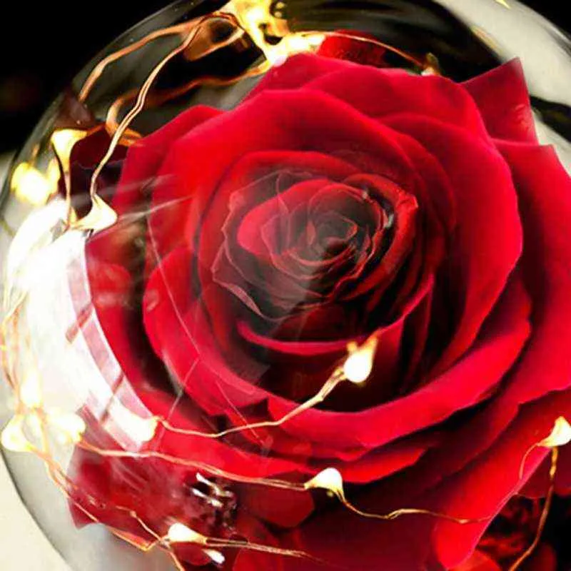 Flannel Rose Flowers Led Light In A Flask Beauty the Beast Immortal Rose New Year Christmas Valentine's Day Gifts