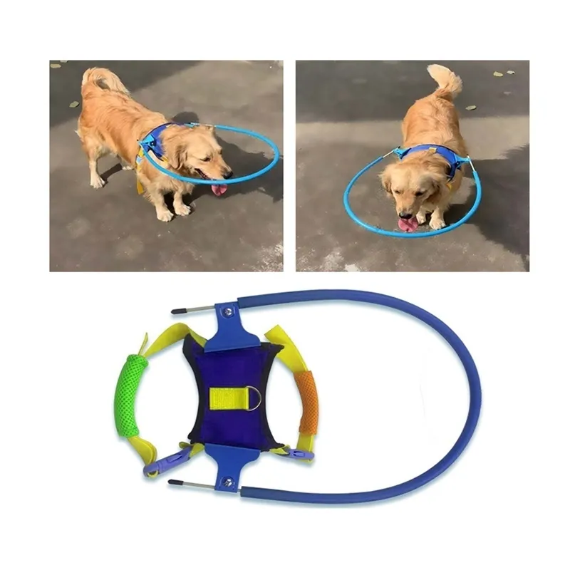 Pet Safe Halo For Blind Dogs Anticollision Ring Scorpion Cataract Animal Protection Circle Guide Dog Y200515