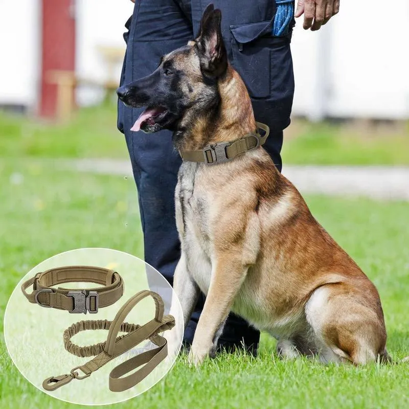 Guinzaglio collare cani tattico militare Collari cani di taglia media e grande Guinzaglio manico di controllo collare cani da addestramento cani da pastore tedesco 2208197551