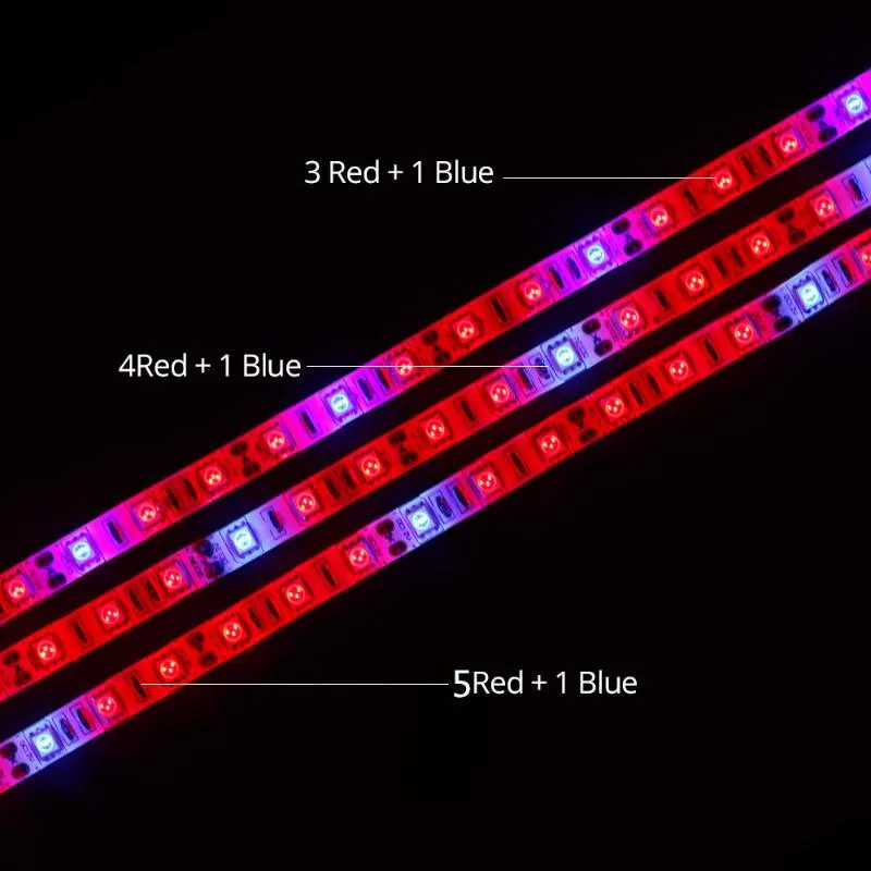 شرائح مصباح داخلي مصباح LED LED شريط تنمو مصباح فيتولامب الشريط الخضار زهرة نباتية للنباتات بذور الاتحاد الأوروبي US PLUCT320B