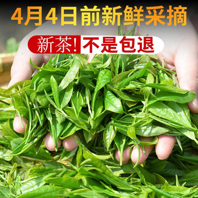 Mcgretea 250g 2022 Xinyang Maojian Chinese green Tea Gift Packing High Quality Mao Jian Tea It tastes fresh, mellow and sweet