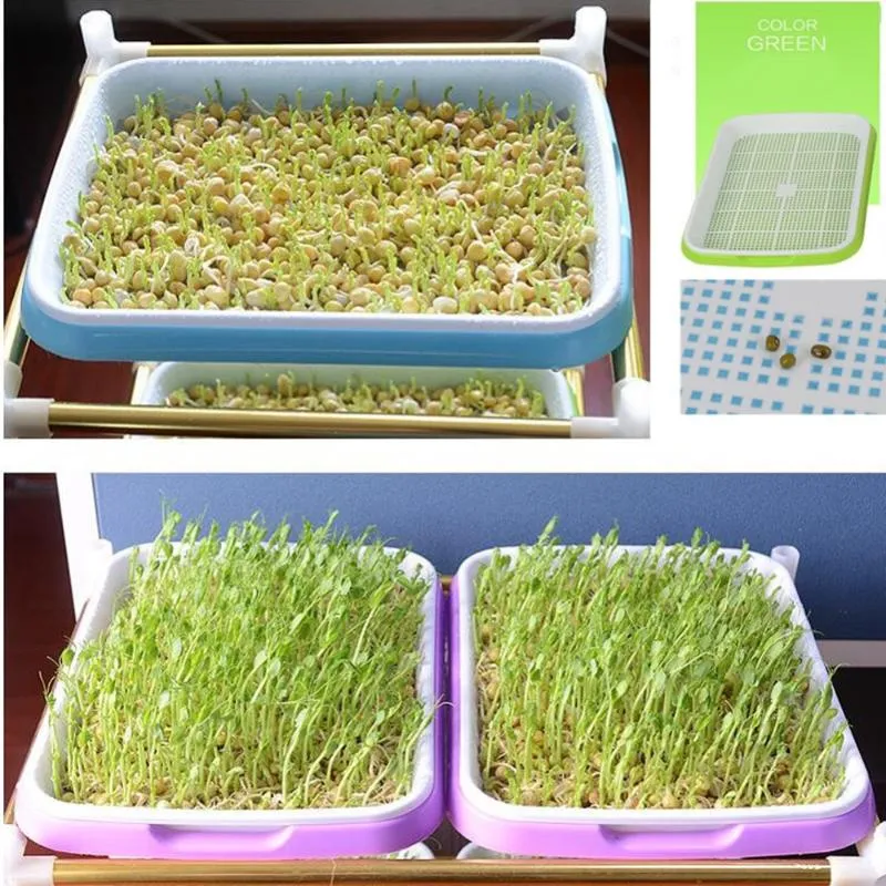 Planters POTS Double-Layer Sprouts Nursery Tray Hydroponics Seed Sprout Trays grönsaker Blomma växt groddbox 224p