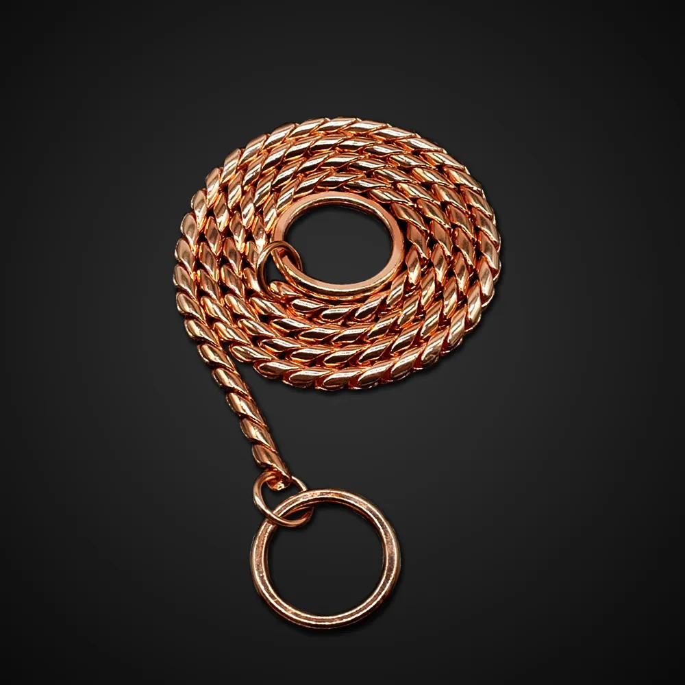 Collier de dressage de chaîne de serpent de collier de chien de haute qualité
