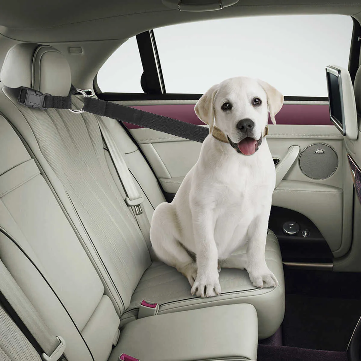 Réglable 2 packs animal de compagnie chien chat sécurité ceinture de sécurité sangle voiture appuie-tête retenue tissu en nylon chien retenue véhicule ceintures de sécurité 211006