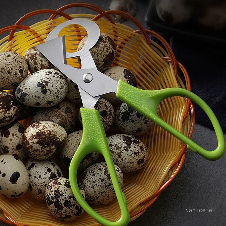 Green Stainless Steel Egg Opener Tool Quail Eggs Scissors Cutter