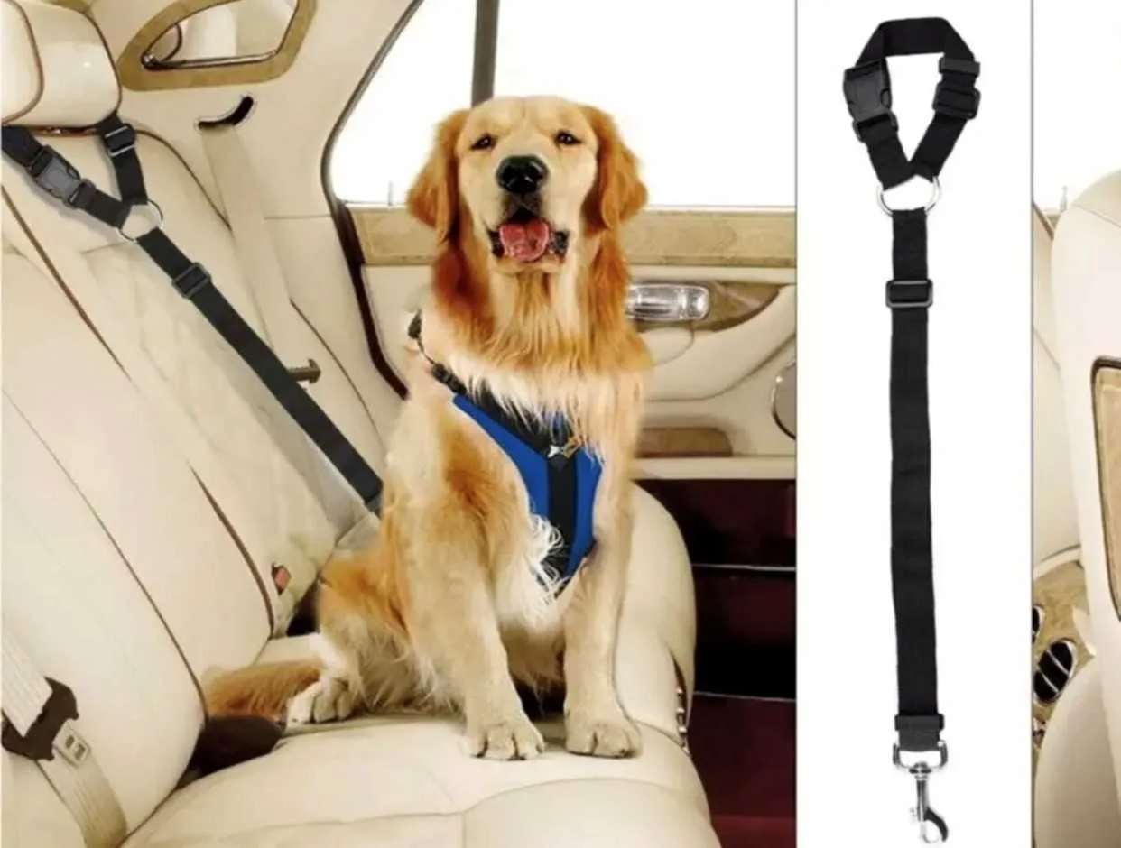 Pet Dog Cat Cintura di sicurezza auto accessori Pettorina regolabile Merci Animali Pettorina regolabile Guinzaglio nero Trend 2021 211006