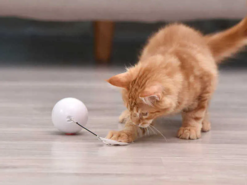 Bola de brinquedo de gato elétrico Bola interativa carregando automaticamente gato rolando gato jogando brinquedo brincando bola levou luminoso gato brinquedo 210929