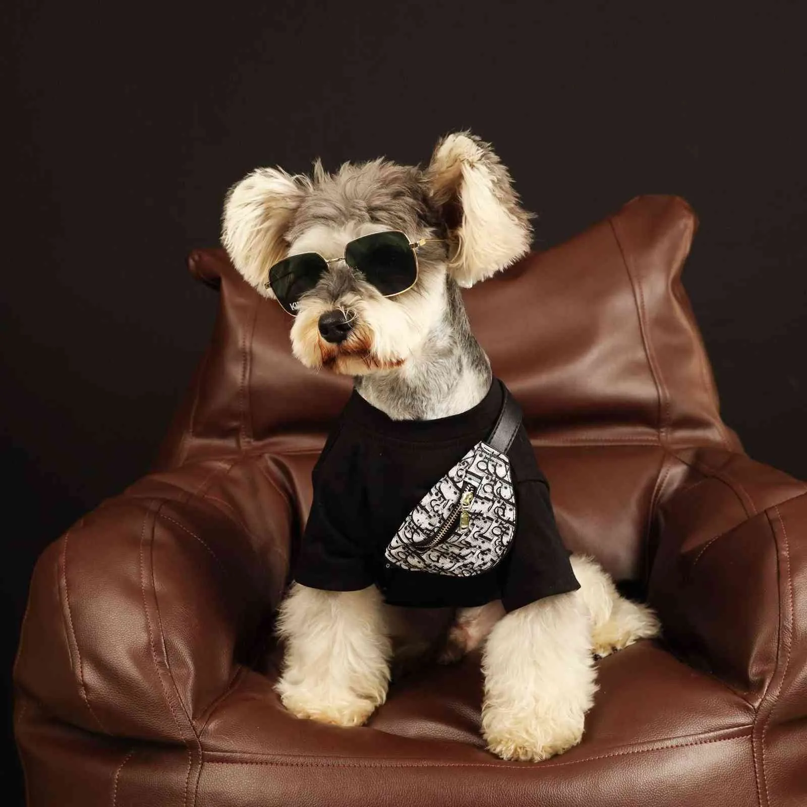 Sommar tunn hundskjorta Vest Chihuahua York Valp Kläder Pomeranian Poodle Bichon Teddy Schnauzer Corgi Shiba Lnu Kläder 211106