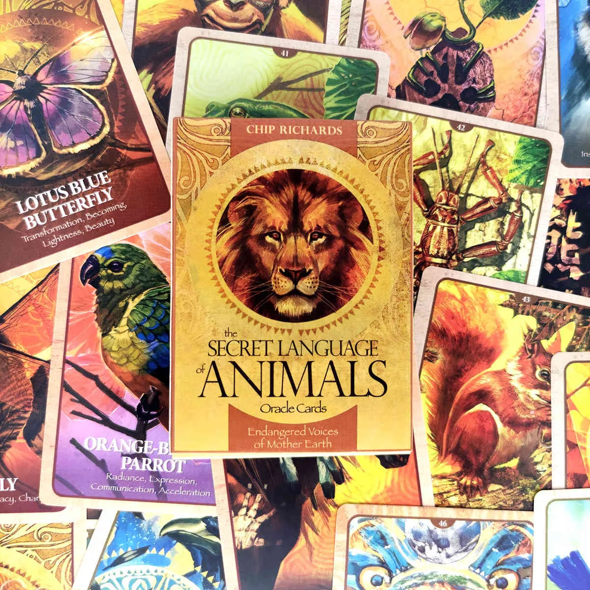 Langue secrète des animaux Cartes de tarot de carte Oracle et PDF Guide Divination Deck Entertainment Parties Board Game / Box Love Lfrf