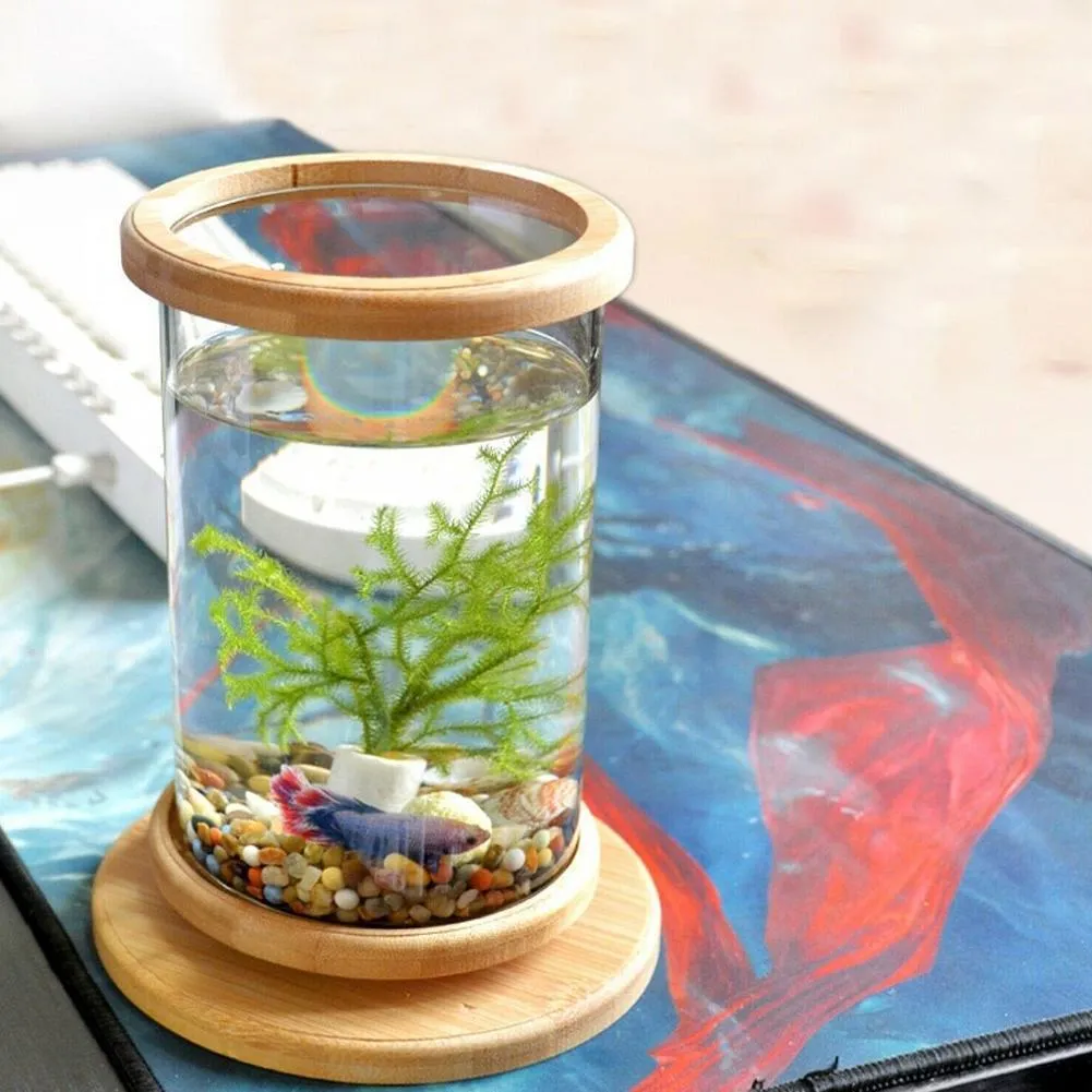 1 PZ Mini Serbatoio di Base in Bambù di Vetro Ruota Decorazione Ciotola Pesci Bottiglia Ecologica Accessori Acquario289O