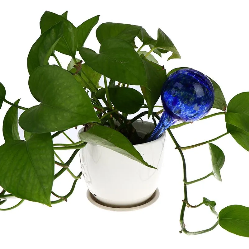 Оборудование для полива в европейском стиле, автоматические стеклянные шары, глобусы для растений, лампа 6 см x 6 см X15209F