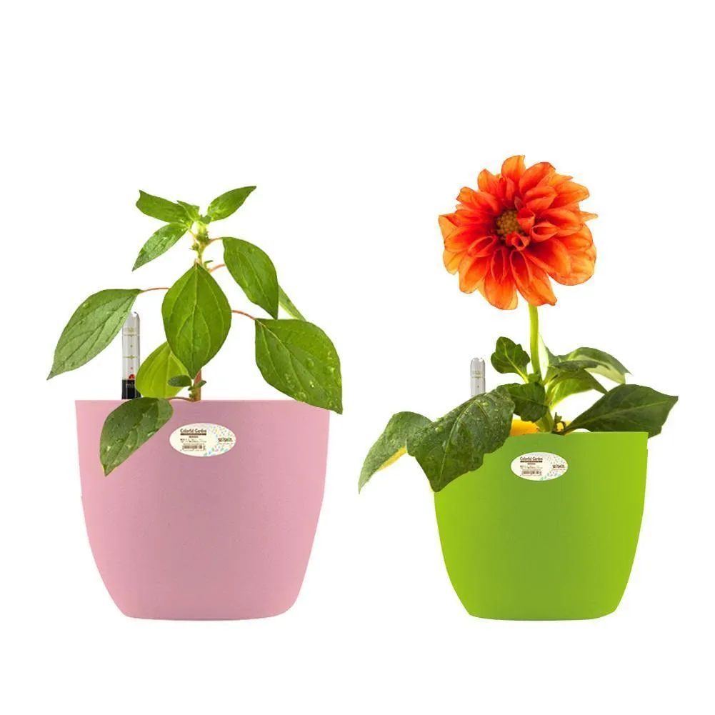 Auto Irrigate Flower Vase Automatic Watering Planter Lazy Planting Pot Absorbing Irrigation Y200709