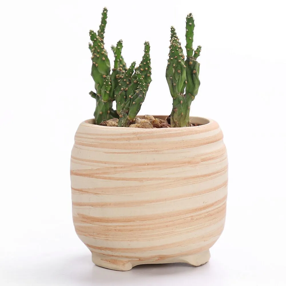 SUN-E 6 in Set 3 Inch Ceramic Wooden Pattern Succulent Plant Pot Cactus Plant Pot Flower Pot Container Planter Gift Idea Y200723271r