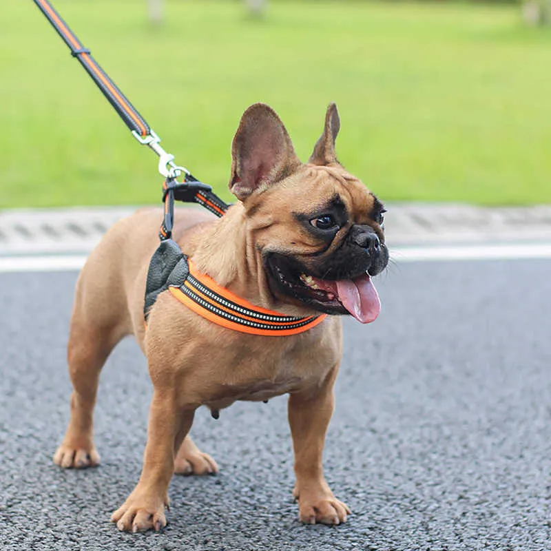 Reflective Dog Collar And leash Set Dog Accessories Seat Belt Harnesses For Small Medium Dogs Pets Supplies French Bulldog 211006