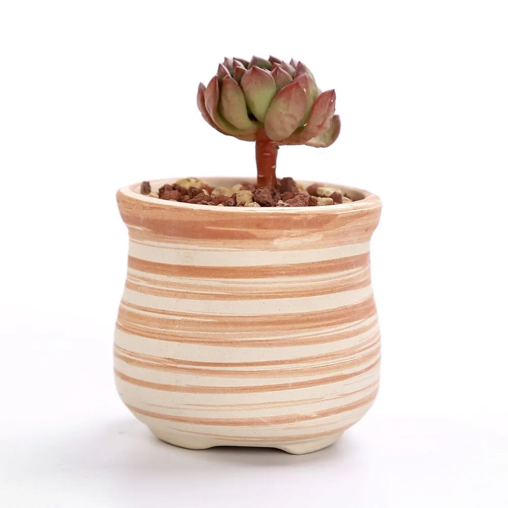 SUN-E 6 in Set 3 Inch Ceramic Wooden Pattern Succulent Plant Pot Cactus Plant Pot Flower Pot Container Planter Gift Idea Y200723271r