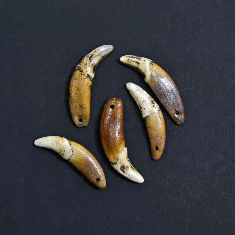 YZ001 Ecru Weiß Braun Zahn Natürliche Knochenperlen Anhänger Diy Perlen Herstellung Modeschmuck Zubehör 20~35mm, Loch: 1,5