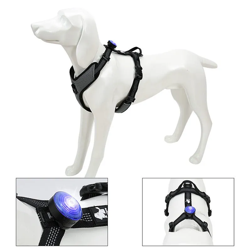 Truelove Pet Dog Led Light Lamp Tag Collar Colgante Glow Night Safety s Linterna para correa Y200515