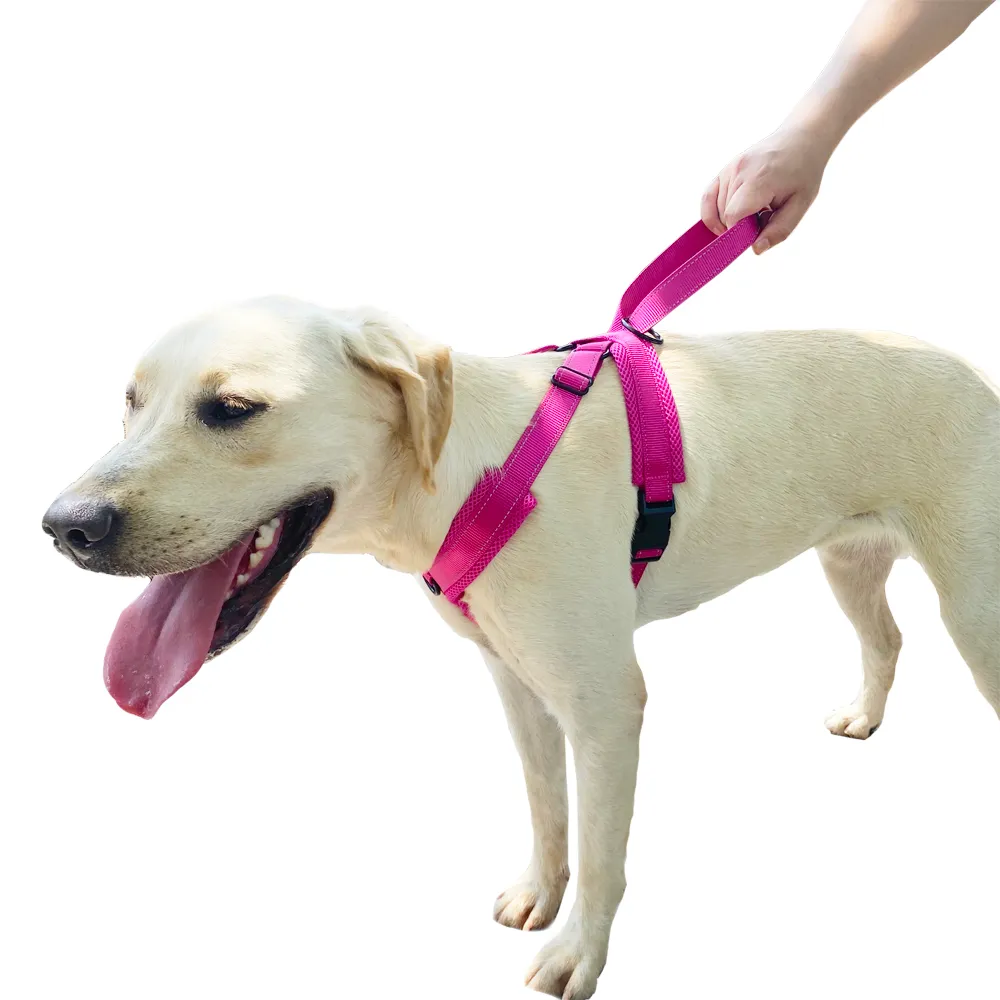 Imbracatura cani No Pull Gilet cani imbottito morbido regolabile, manico in nylon riflettente animali domestici di facile controllo taglia media e grande
