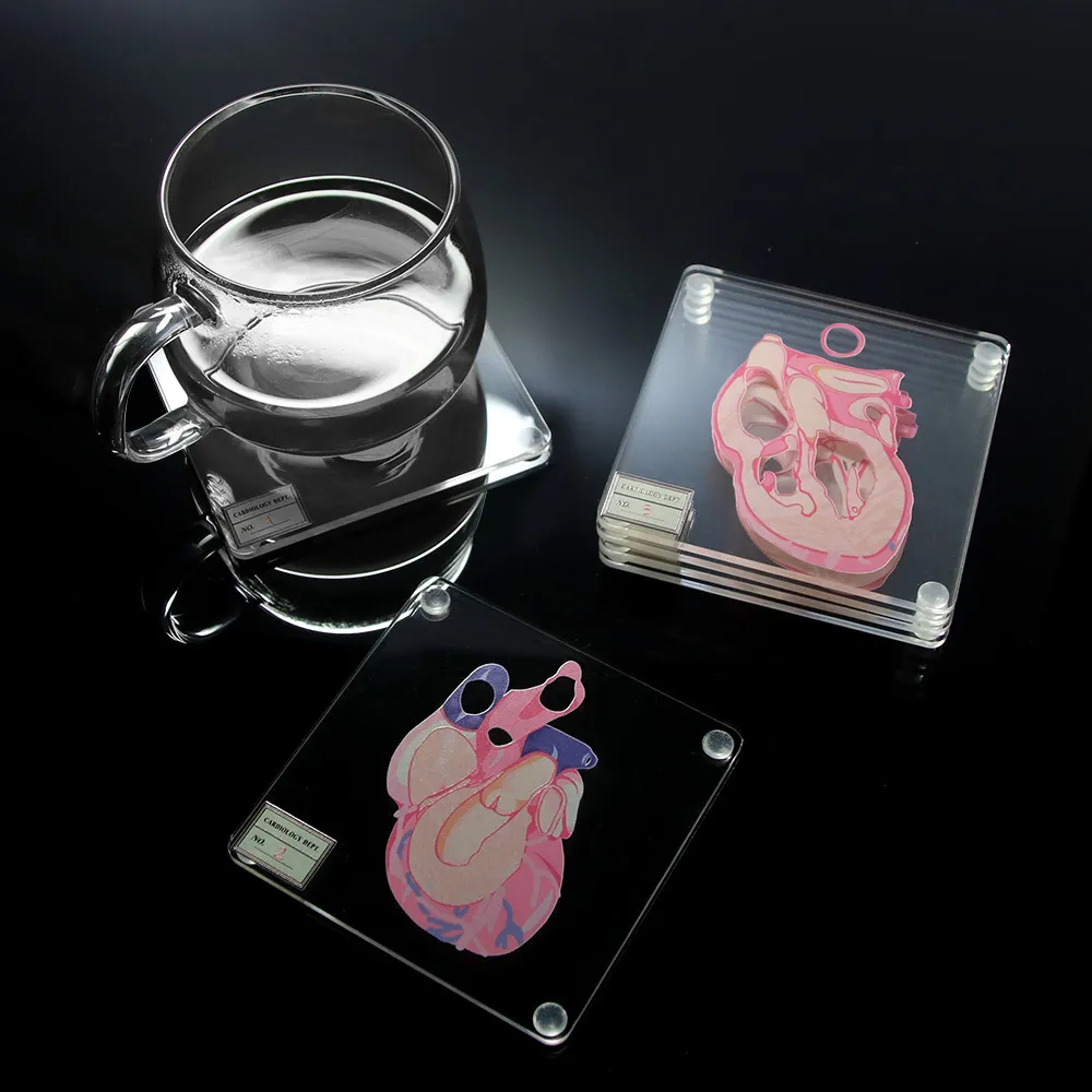 解剖学的心臓標本コースターハートスライス解剖学アクリルスクエアコースター飲料カップマットホームバーキッチン装飾パーティー2311d