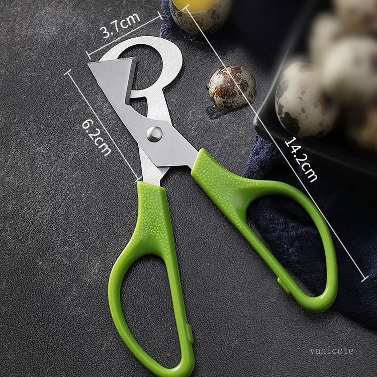 Green Stainless Steel Egg Opener Tool Quail Eggs Scissors Cutter