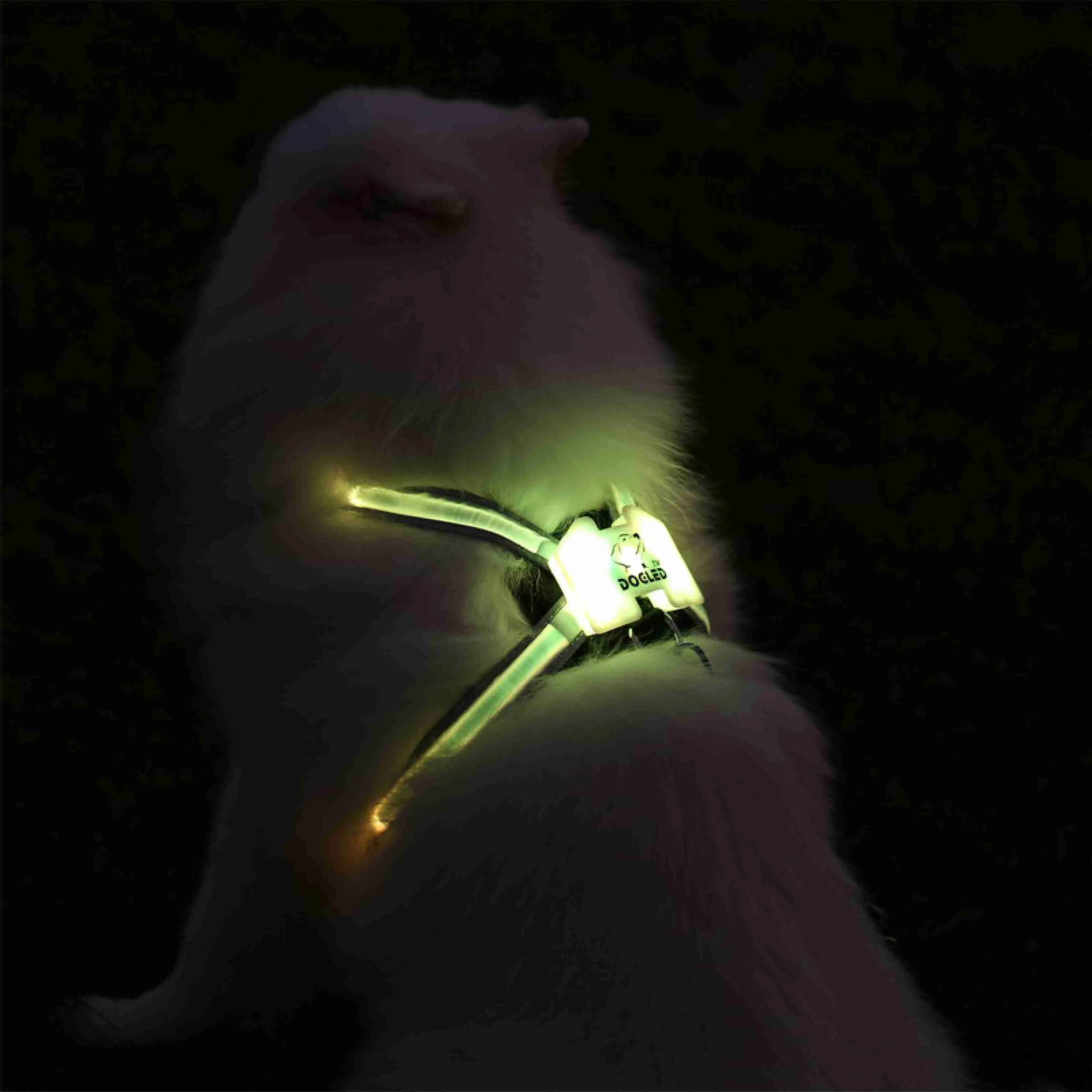 Dogled Pet Products for Large 7 in Dog Glowing USB Led Collar Puppy Lead Pets Vest Leads Y200515