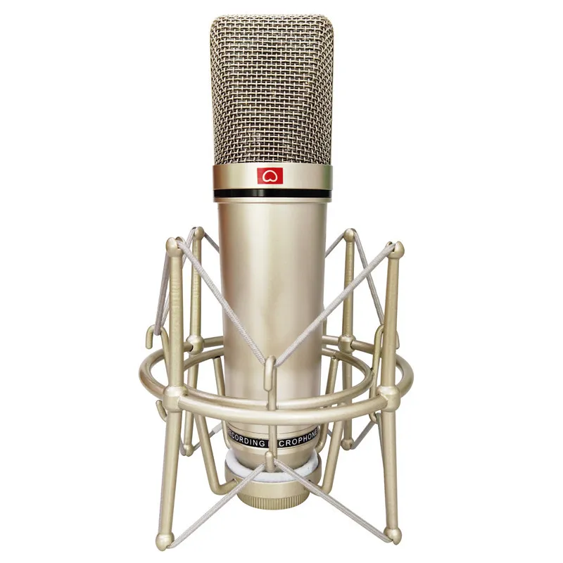 Registrazione U87 Condensatore Microfono professionale Computer Live Vocal Podcast Gaming Studio Canto