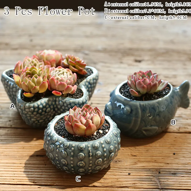 Ceramic Flower Pot Succulent S Cactus S Planter Garden S Outdoor Home Decoration Windows Bill Y200709