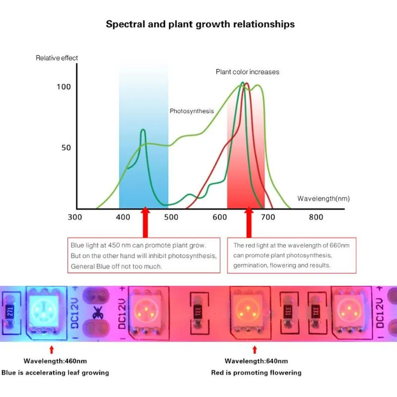 Strisce piante da interno Luce LED Striscia Coltiva la lampada Phytolamp Nastro Verdure Fiore Phytolent piante Semi EU US Plug257D