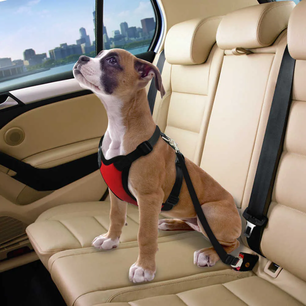 Breathable Mesh Dog Harness Leash Safety Vehicle Car Dog Seat Belt Nylon Pet Car Seatbelt Harness Lead For Small Medium Dogs 211006