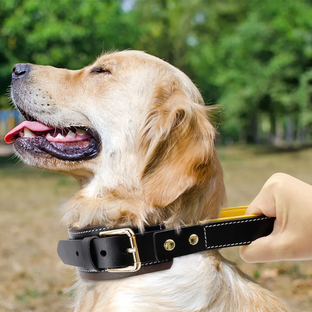 Collare cani di grandi dimensioni in pelle Largo Big s s con manico regolabile Controllo rapido animali di taglia media Y2005156985619