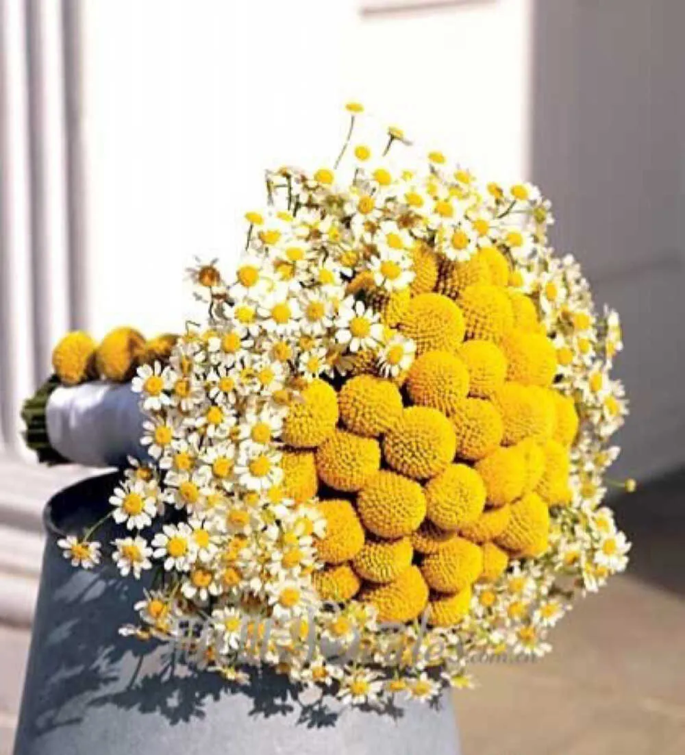 Настоящие высушенные пампас трава свадьба цветок пучок натуральные растения дома декор сушеные искусственные цветы фрагмиты золотой шар pompom y0630