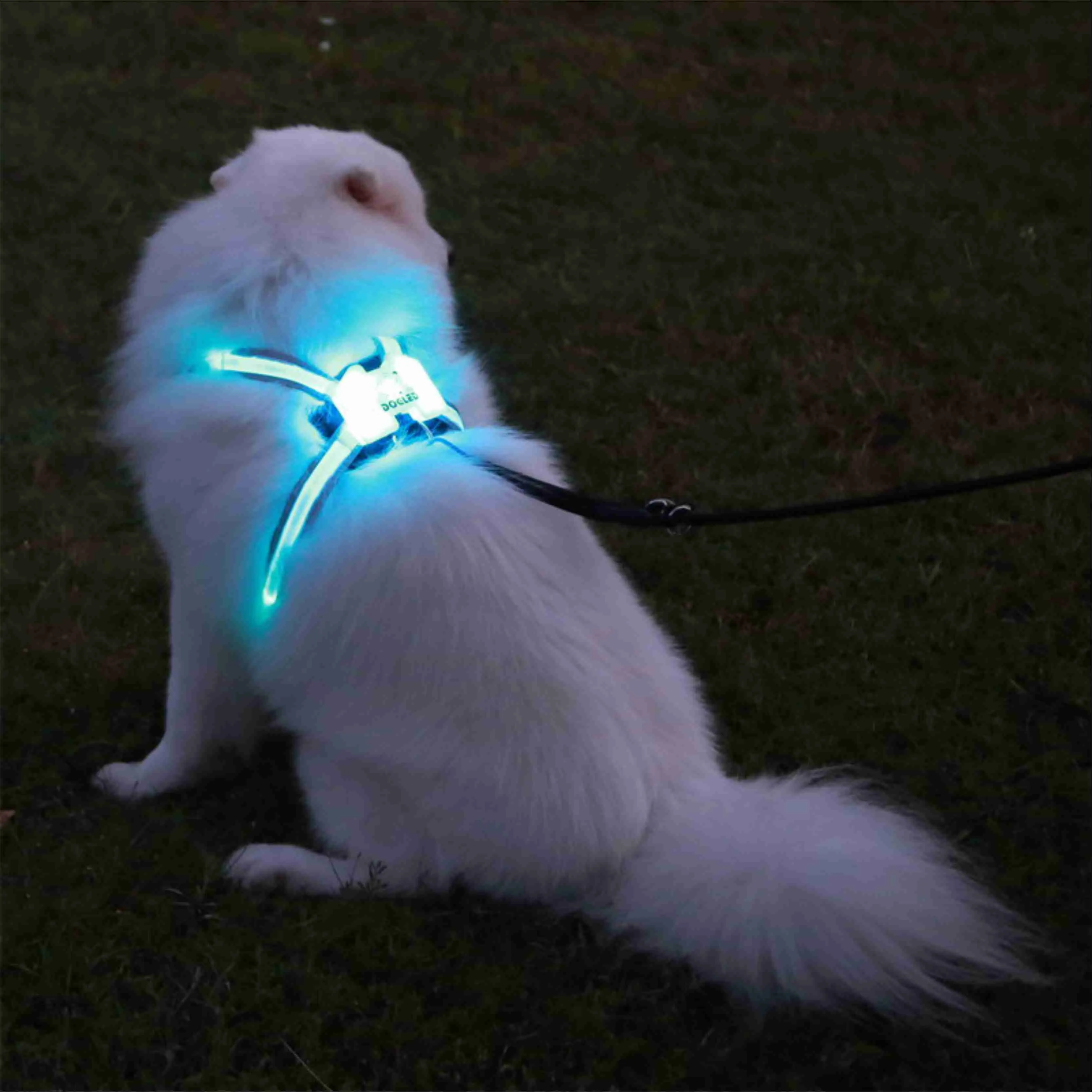 Bieżone produkty dla zwierząt dla dużych 7 w 1 kolorys pies świecące USB Led Led Puppy Puppy Pets Kamizelki Y200515