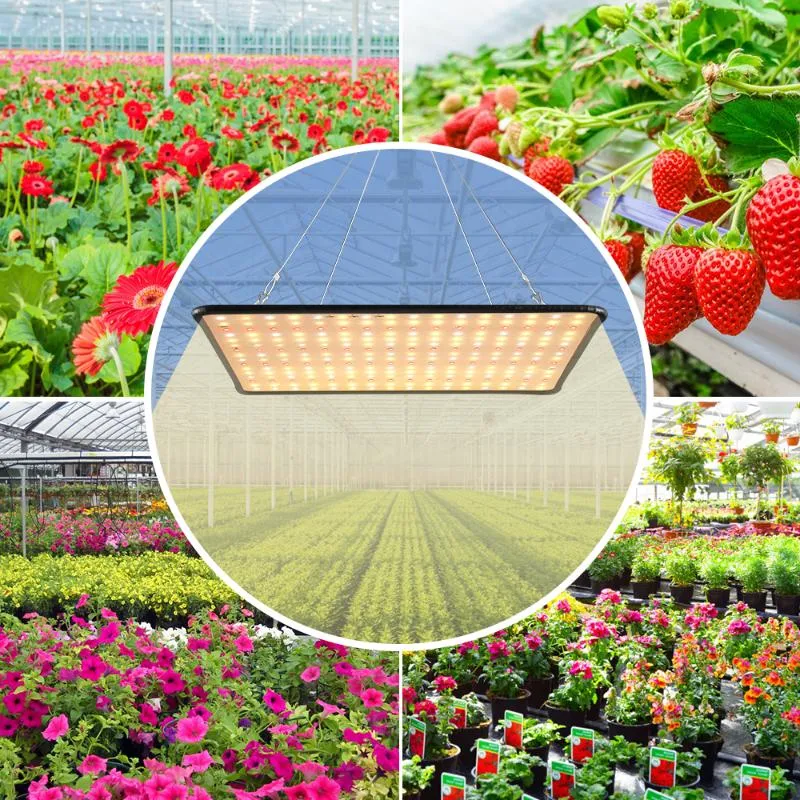 Lámpara de phyto LED de 1000W lámpara de cultivo LED 1500W Phyto Growing Light 2000W Plantas interiores LED Bulbos US EU UK Plug Fitolampy283s