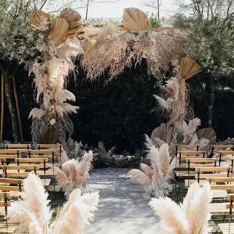 100 teile / los Großhandel Phragmiten Natürliche getrocknete dekorative Pampas Gras für Haus Hochzeit Dekoration Blume Bündel 56-60cm FY2497 C0124