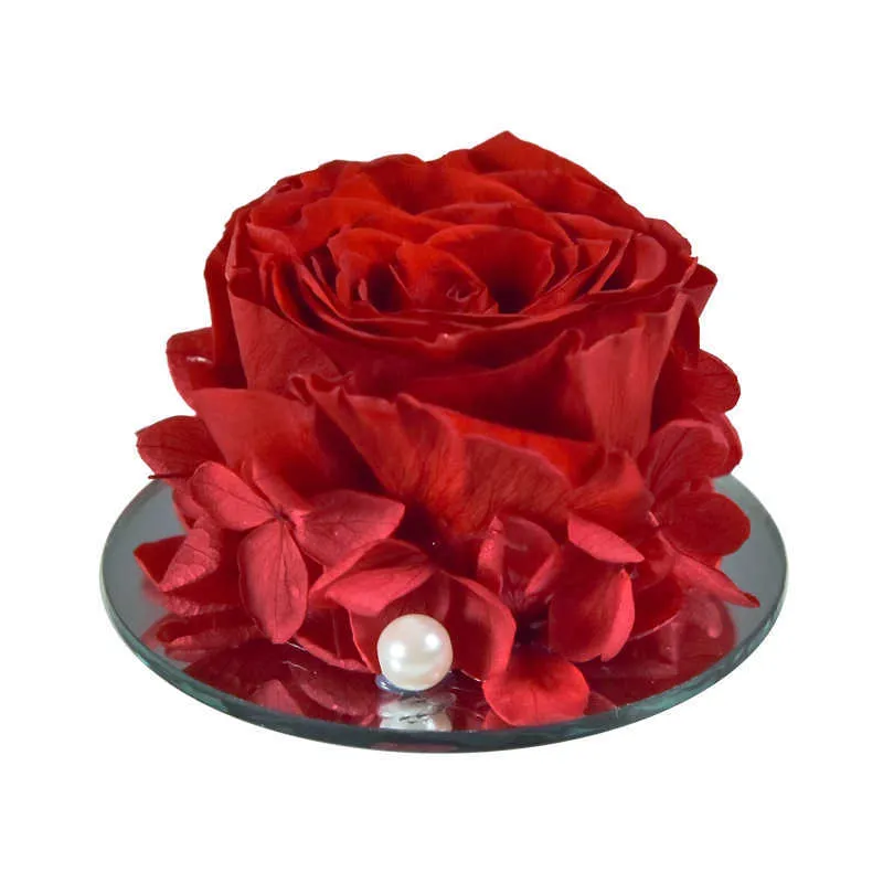 Rosa reale conservata fatta a mano con copertura in vetro d'angelo Fiori eterni Regali matrimonio Compleanno Madre San Valentino Anniversario 210624