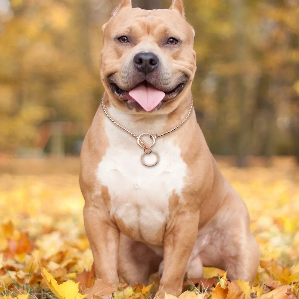 Collare di addestramento cani di alta qualità con catena a forma di serpente Collare di strozzatura animali domestici in metallo pesante dorato medie e grandi Y200515