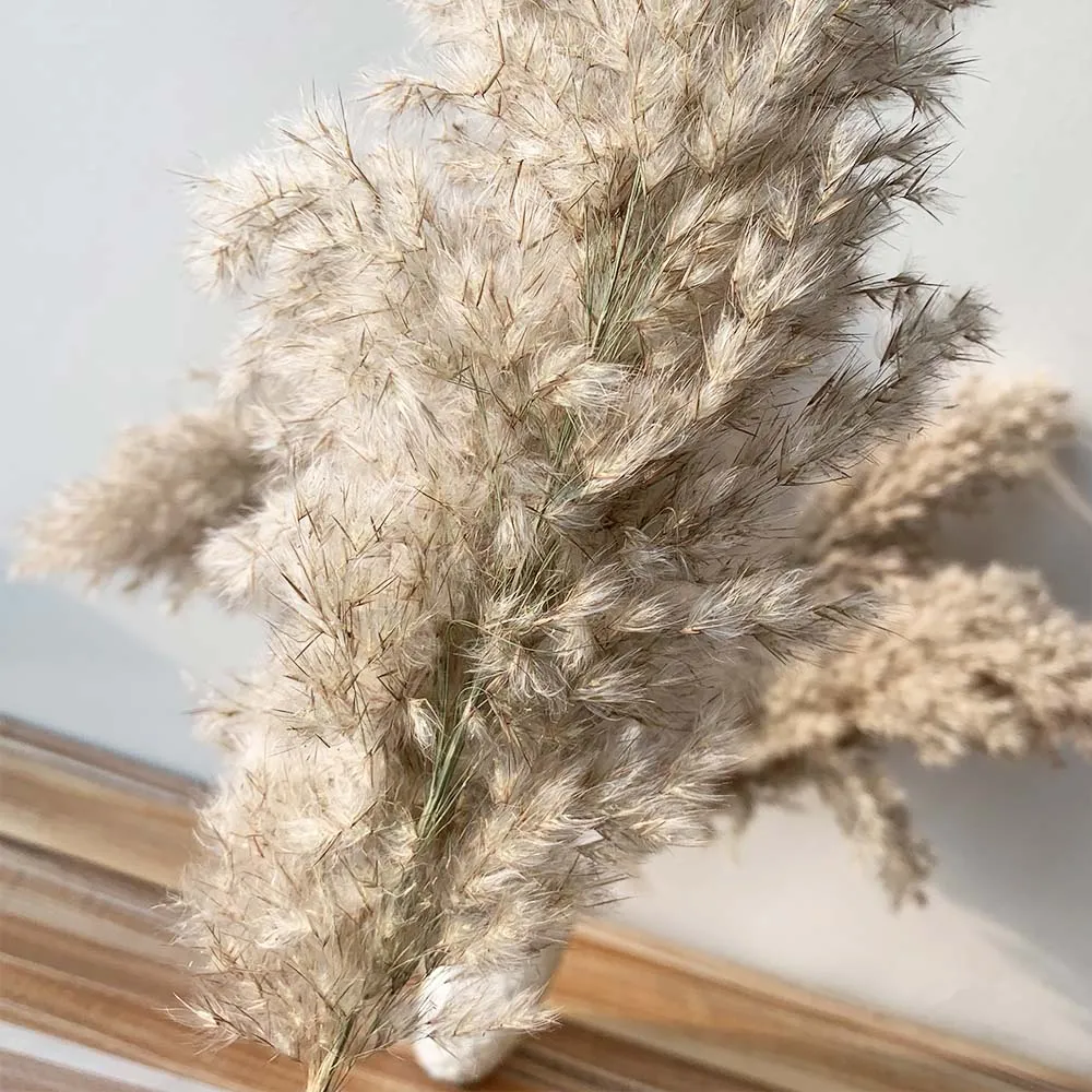 20 stks Pampas Gras Fluffy Dried Natural Reed Flowers Bouquets bevat gekleurde plastic vaas kerstmis huis bruiloft decor