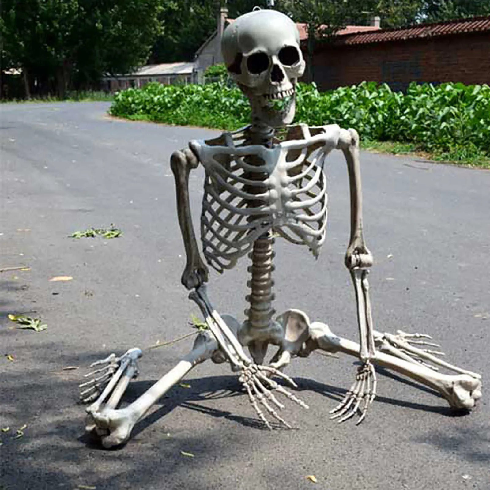 70 cm szkielet na Halloween Prop pełny rozmiar Czaszki Czaszka Ręka Life Body Anatomy Model Decorhalloween Dekor
